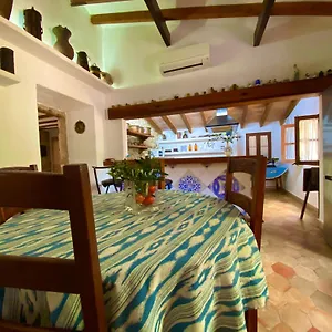  Appartement Puerto De Pollensa And Apartments, With Private Mountain Ideal For Runners, Trailers,near Approximately 5 Minutes Walking, Unique Experience In A Ullal Old Typical Mallorca House With Private Mountain And Near To The Beac